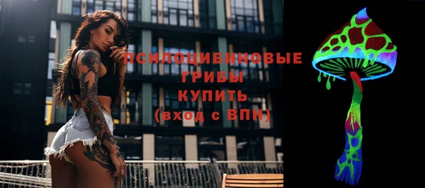 ПСИЛОЦИБИНОВЫЕ ГРИБЫ Абинск