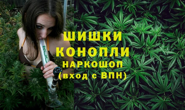 крисы Абаза