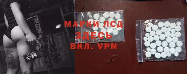 крисы Абаза