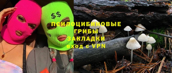 сатива Покачи