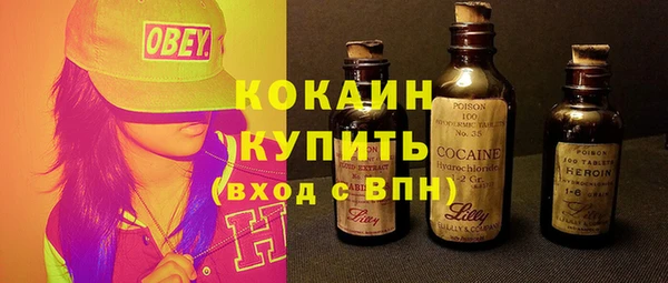 крисы Абаза