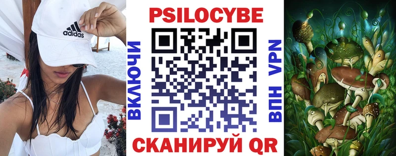 Псилоцибиновые грибы Magic Shrooms  mega онион  Новомичуринск 